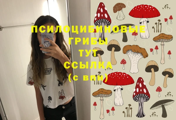 не бодяженный Арсеньев
