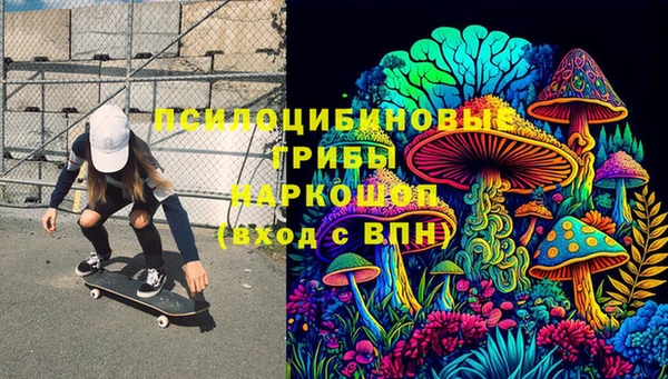 тгк Магадан