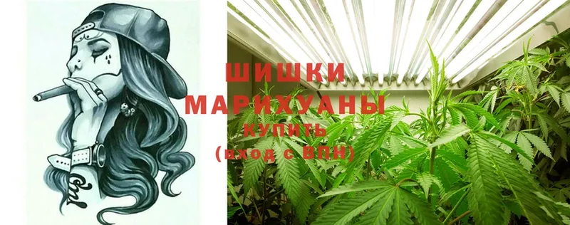 Бошки марихуана гибрид  наркошоп  Жирновск 